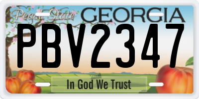 GA license plate PBV2347
