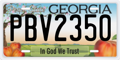 GA license plate PBV2350