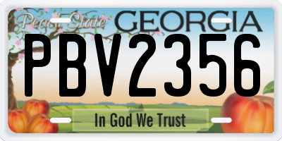 GA license plate PBV2356