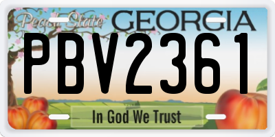 GA license plate PBV2361