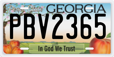 GA license plate PBV2365