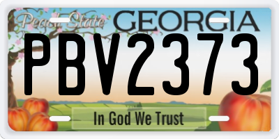 GA license plate PBV2373