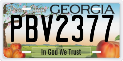 GA license plate PBV2377