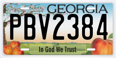 GA license plate PBV2384