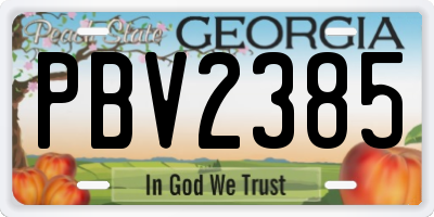 GA license plate PBV2385