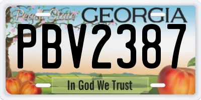 GA license plate PBV2387