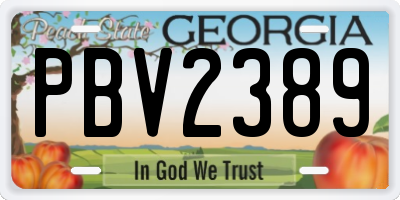 GA license plate PBV2389