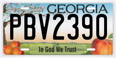 GA license plate PBV2390