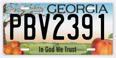 GA license plate PBV2391