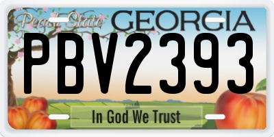 GA license plate PBV2393