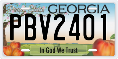 GA license plate PBV2401