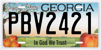 GA license plate PBV2421