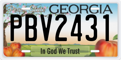 GA license plate PBV2431