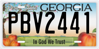 GA license plate PBV2441