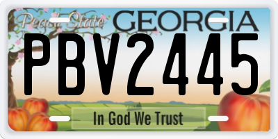 GA license plate PBV2445