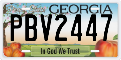 GA license plate PBV2447