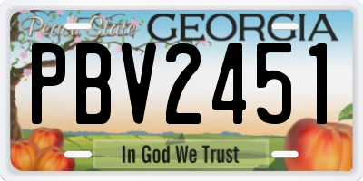 GA license plate PBV2451