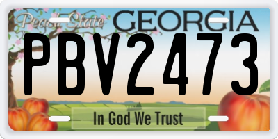 GA license plate PBV2473
