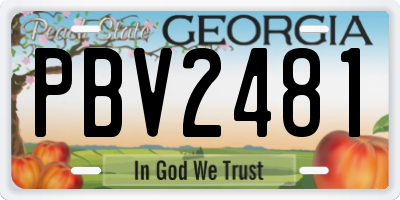 GA license plate PBV2481