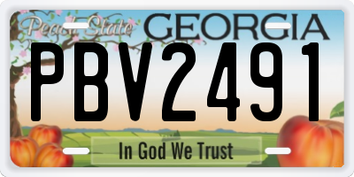 GA license plate PBV2491