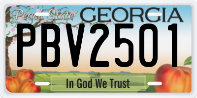 GA license plate PBV2501