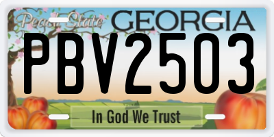 GA license plate PBV2503