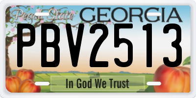GA license plate PBV2513