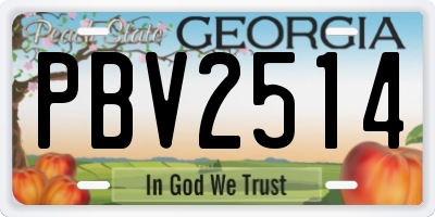 GA license plate PBV2514