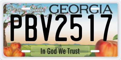 GA license plate PBV2517