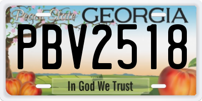 GA license plate PBV2518