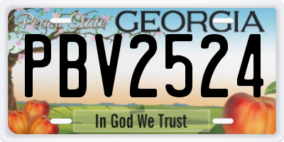 GA license plate PBV2524