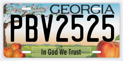 GA license plate PBV2525