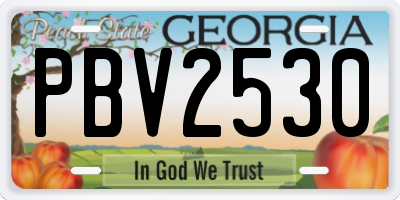 GA license plate PBV2530