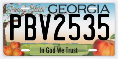 GA license plate PBV2535