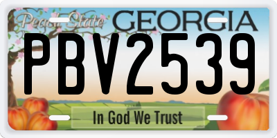GA license plate PBV2539