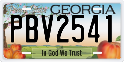 GA license plate PBV2541