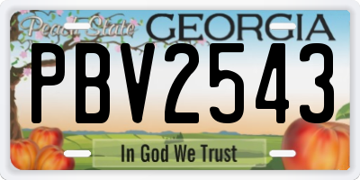 GA license plate PBV2543