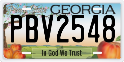GA license plate PBV2548