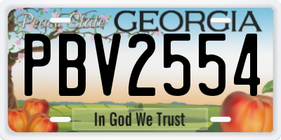 GA license plate PBV2554