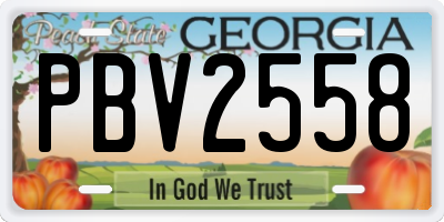 GA license plate PBV2558