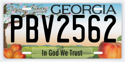 GA license plate PBV2562
