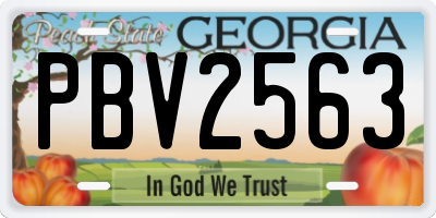 GA license plate PBV2563