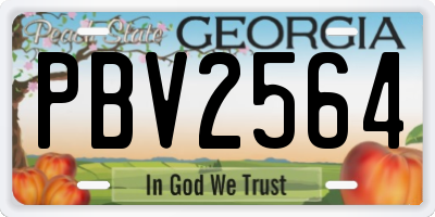 GA license plate PBV2564