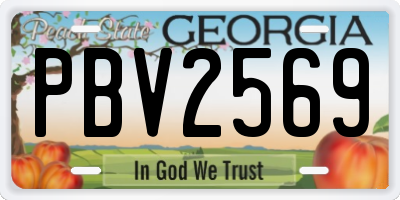 GA license plate PBV2569
