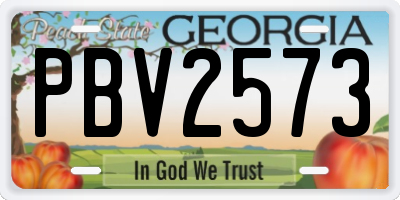 GA license plate PBV2573