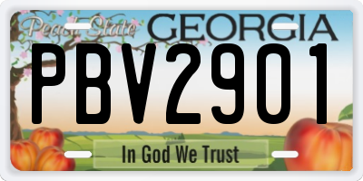 GA license plate PBV2901