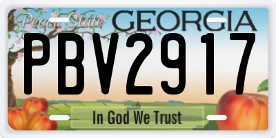 GA license plate PBV2917