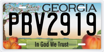 GA license plate PBV2919