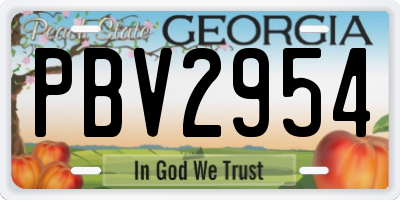 GA license plate PBV2954