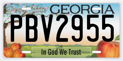 GA license plate PBV2955